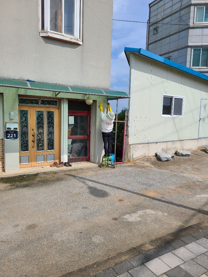 [대산센터] 벌집제거