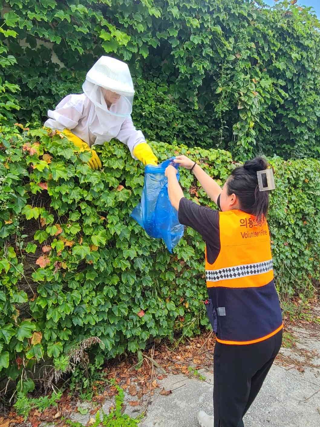 8.35 위도의소대 여름철 벌집제거