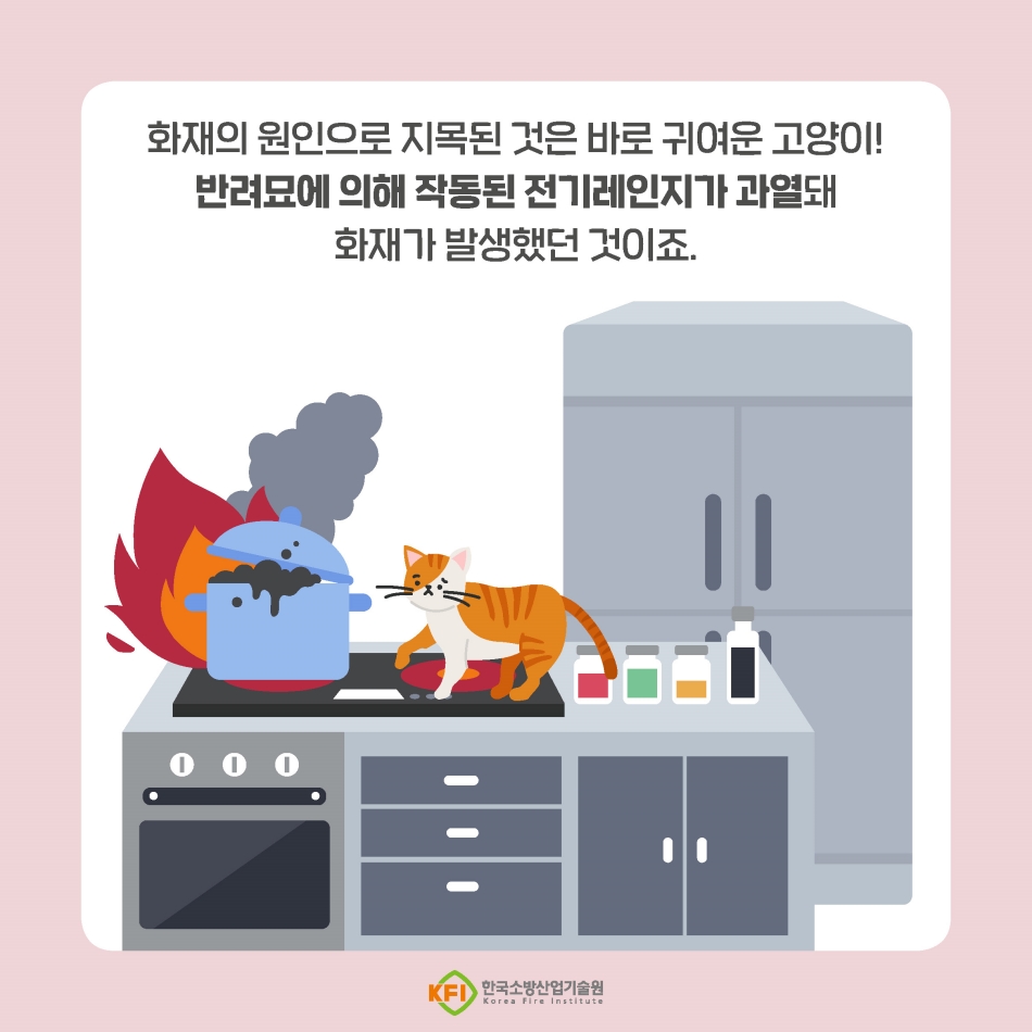반려동물과 안전하게 공존하기! 전기 화재 예방 수칙 필수!3