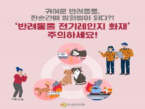 반려동물과 안전하게 공존하기! 전기 화재 예방 수칙 필수!